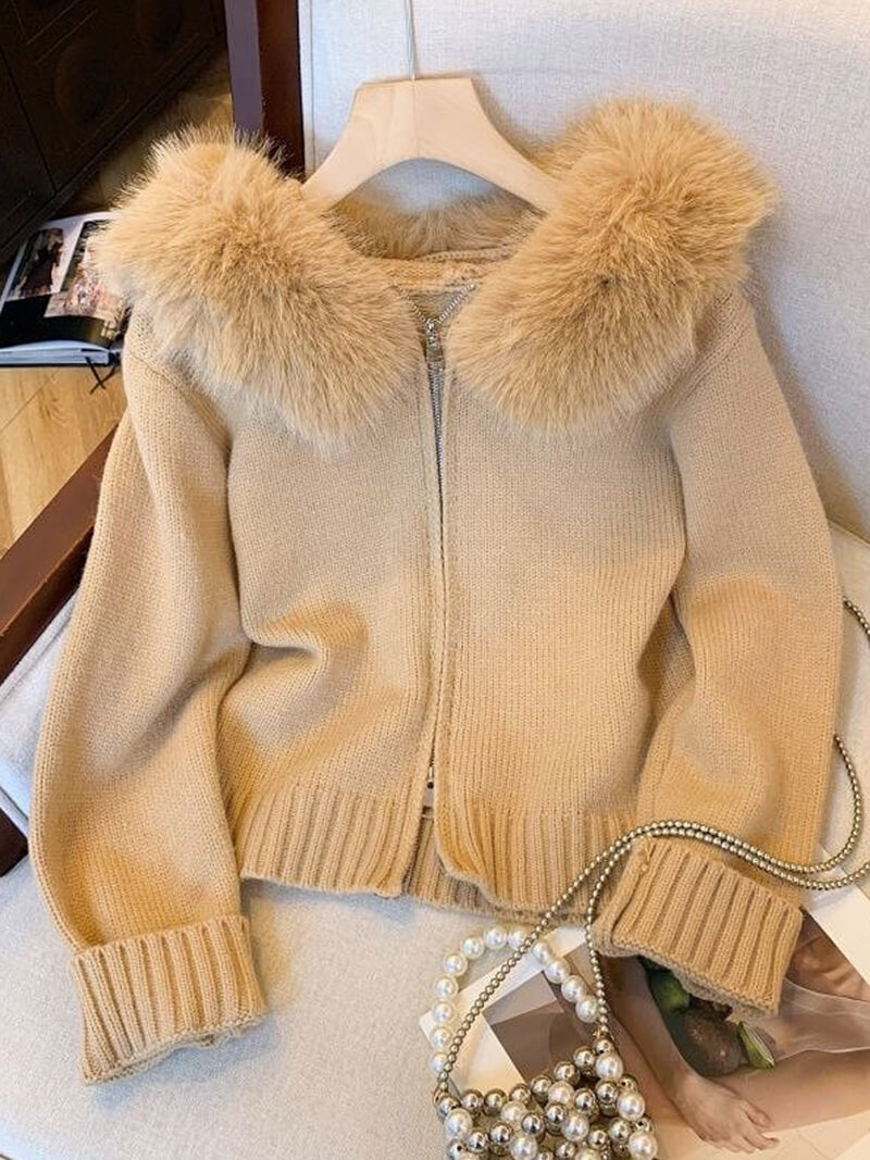 Alison Faux Fur Hoodie